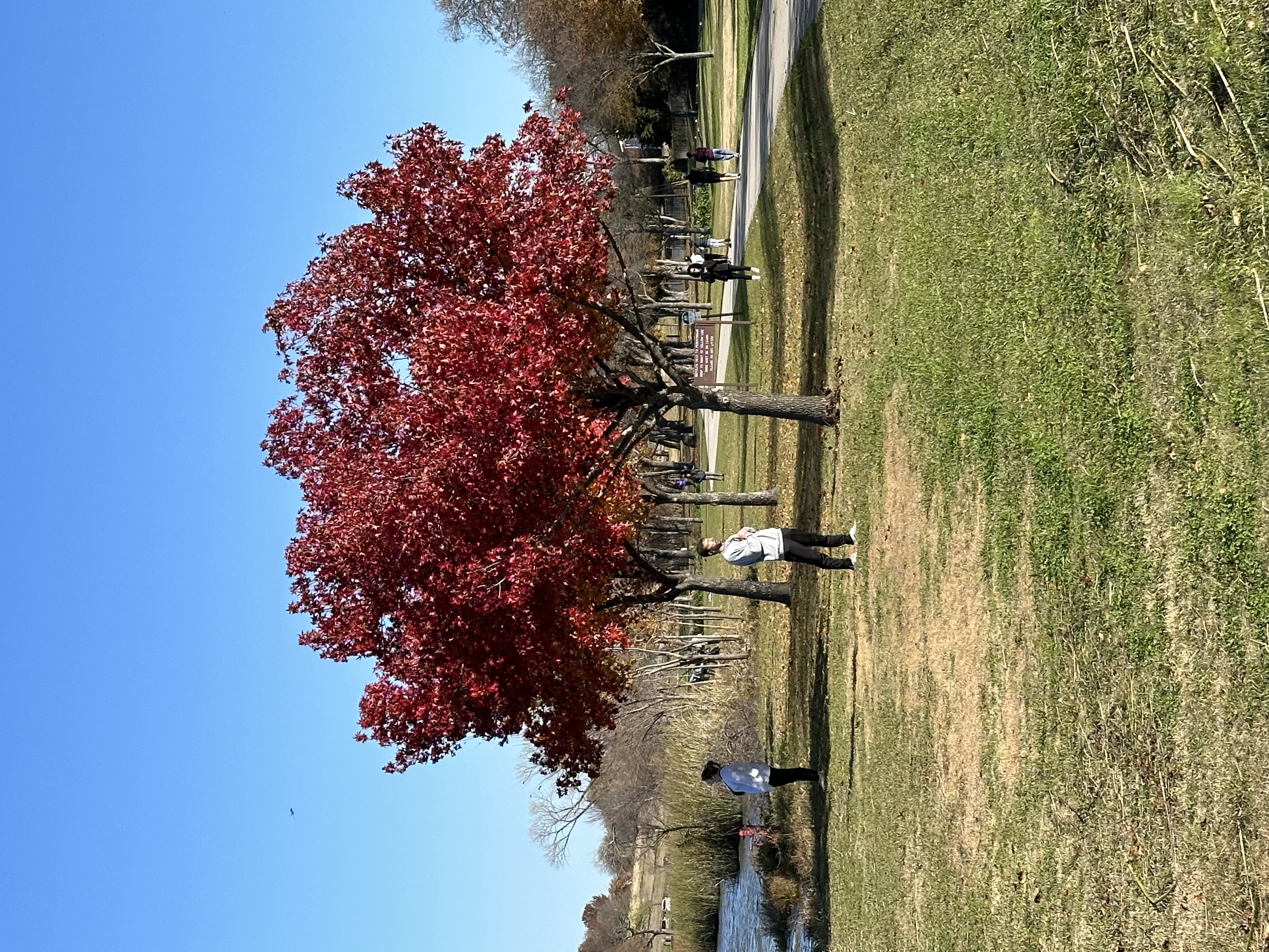 Meditation Group